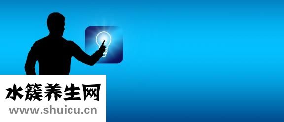 懷胎十月怎么算