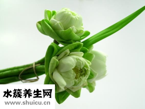 懷孕會(huì)頭疼嗎