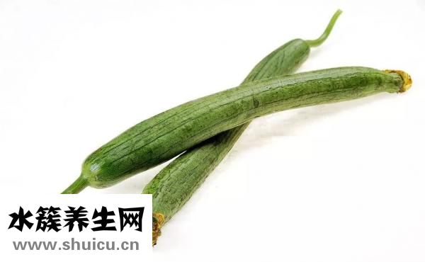 絲瓜水的功效與作用