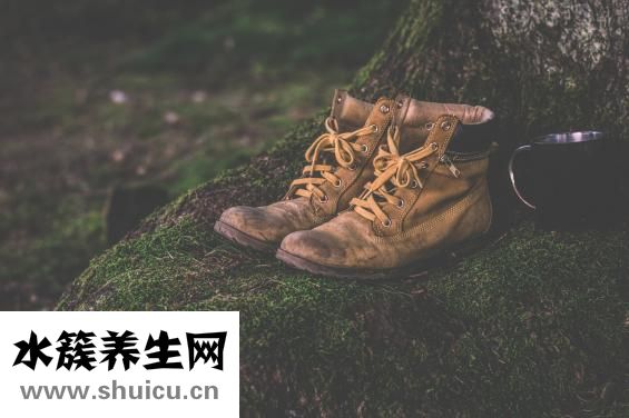 心臟血液循環路線