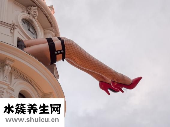 心臟血液循環路線