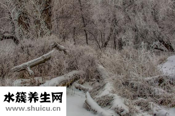 頭暈用什么藥好