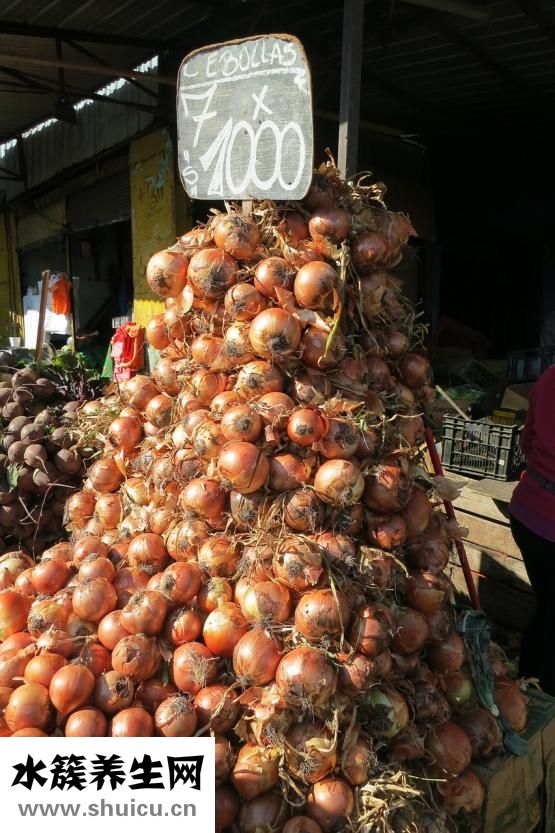 一塊披薩的熱量