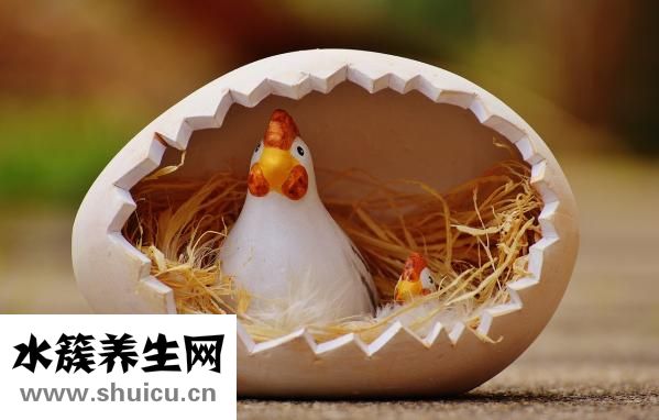 團魚怎么做才好吃