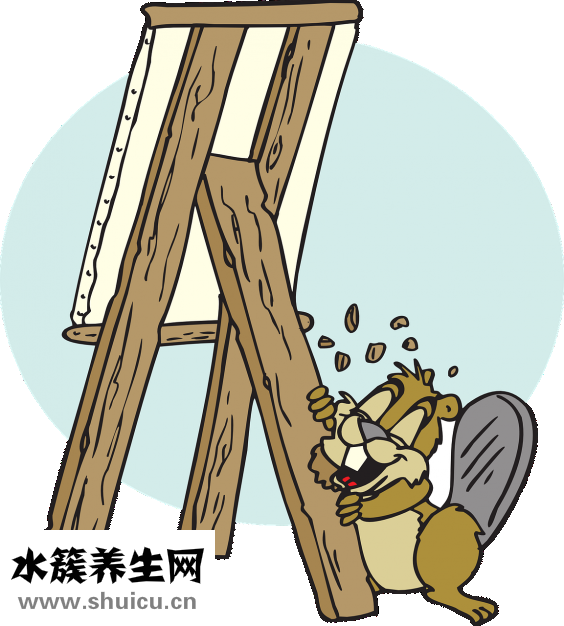 孕婦可以吃頭孢嗎