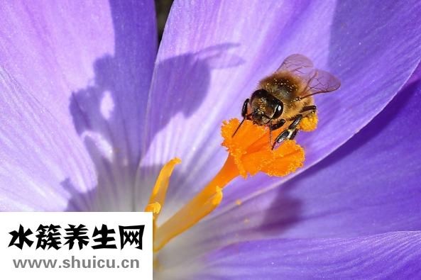 微波爐怎么做蛋糕