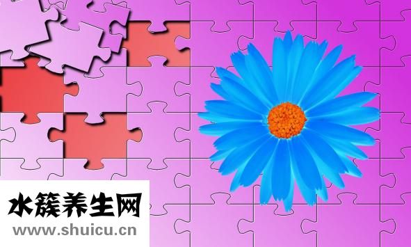 家用紫外線消毒燈