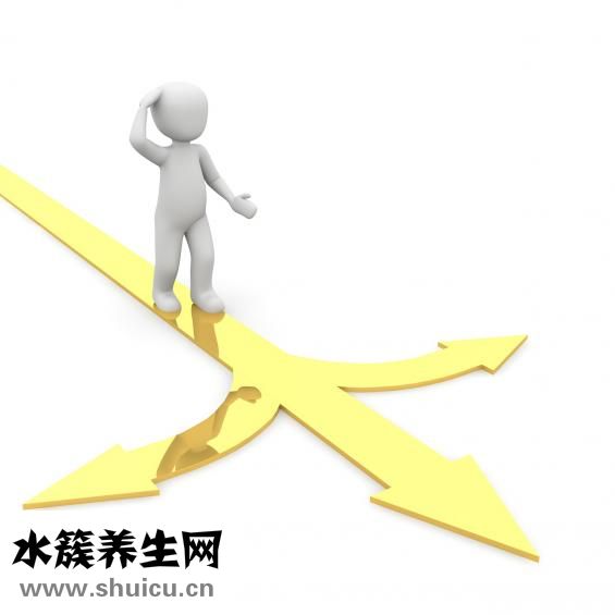 同源染色體是什么