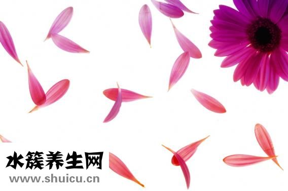 思密達(dá)的功效與作用