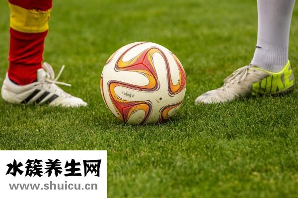 一斤草莓多少錢