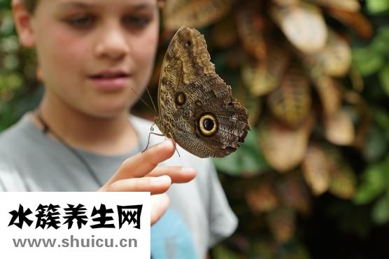 一周食譜家常菜