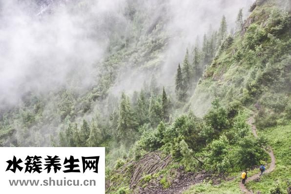 十二經絡穴位圖