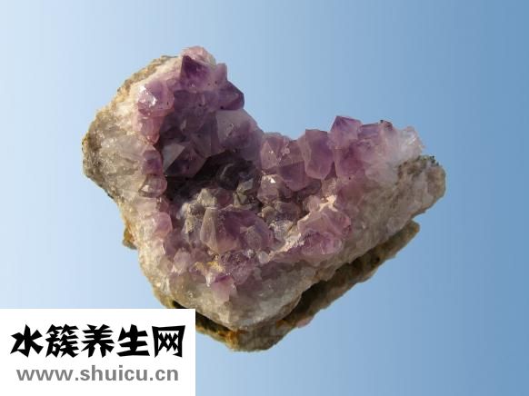 三文魚的功效與作用