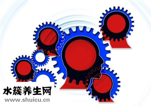 外周血是抽哪的血