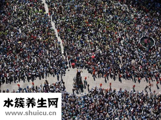 發(fā)質硬好還是軟好