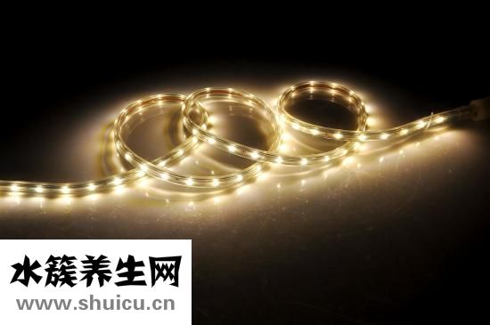 三棱的功效與作用