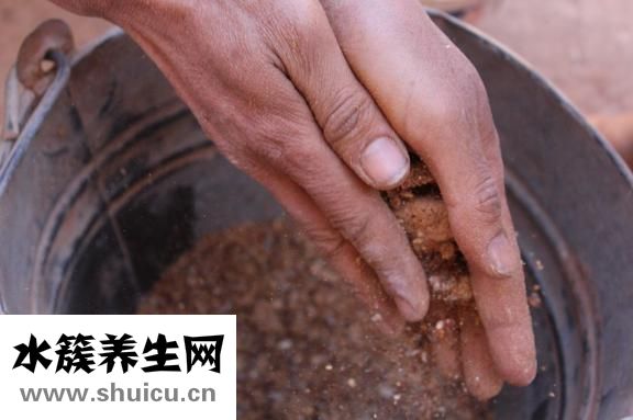 七步洗手法的步驟