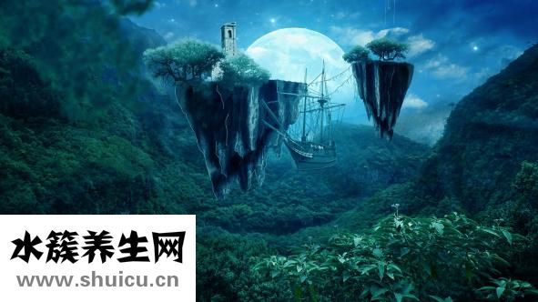 不會說話怎么辦