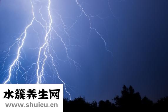 烏骨雞的功效與作用