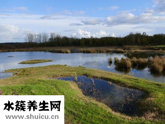 一直耳鳴怎么消除