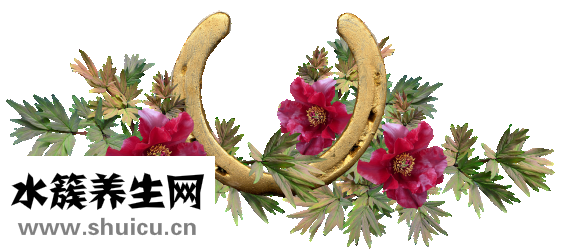 孕婦可以吃馬蹄