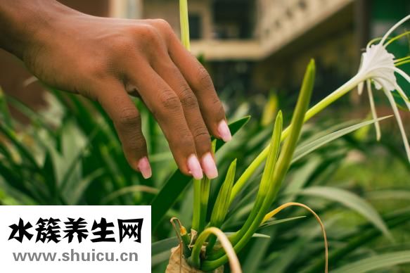 宮頸檢查怎么做