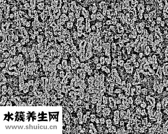 頭癬怎么治才能斷根