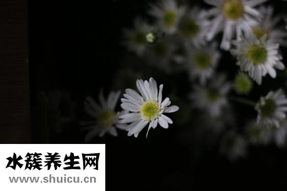 孕婦如何控制血糖