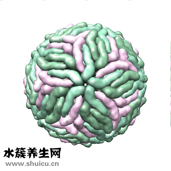 愈酚甲麻那敏顆粒