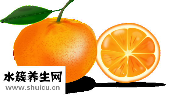 頭發出油怎么治