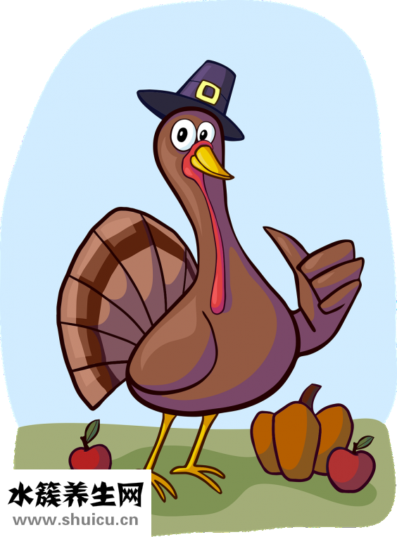 手肘是哪個部位