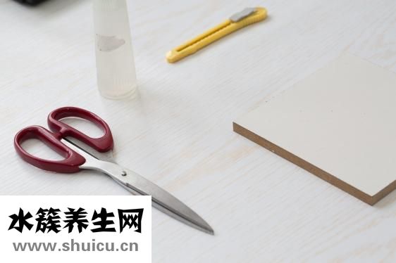 頭孢曲松鈉說明書