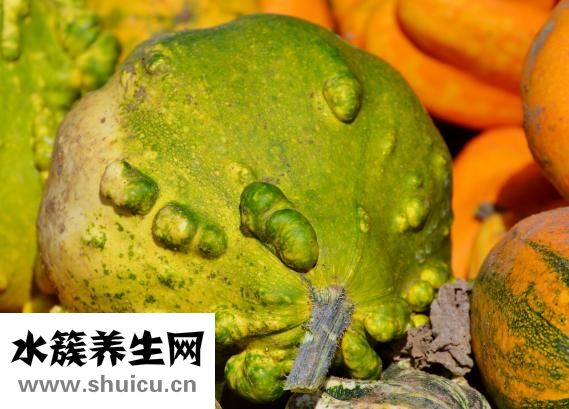 孕婦可以吃酸菜嗎