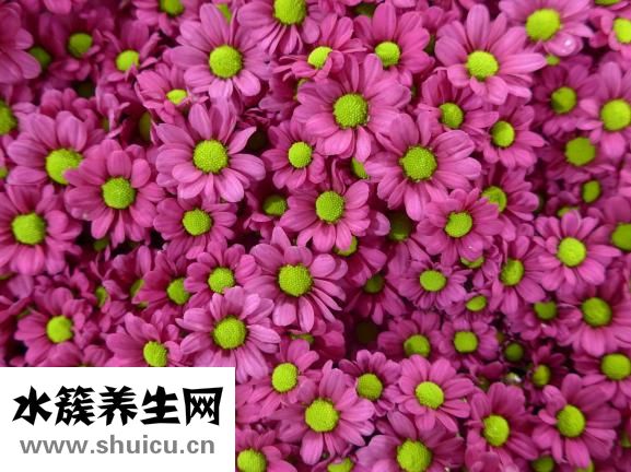 免疫力下降的原因