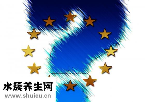 動物內臟包括什么