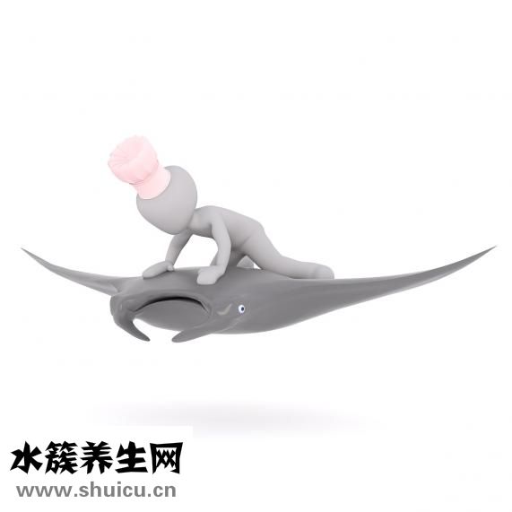 無精癥表現(xiàn)