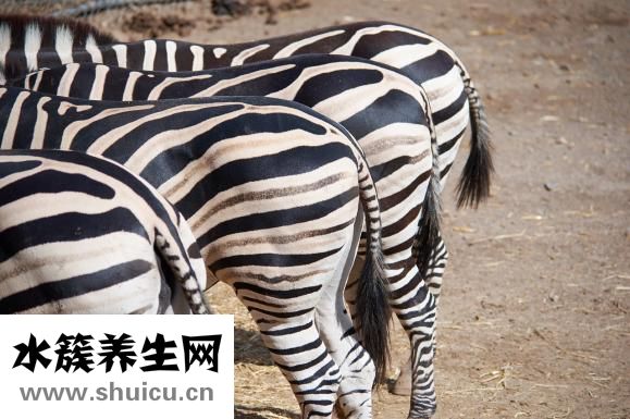 為什么一直放臭屁