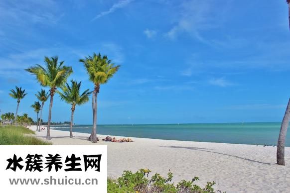 孕婦可以吃花膠嗎