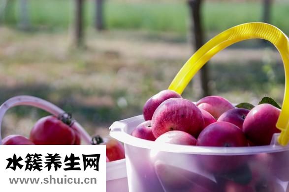 提神的飲料有哪些