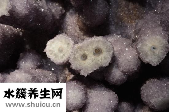 孕婦可以吃青團嗎