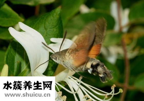 學習艾灸的地方