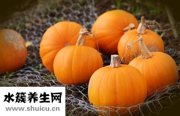 什么粥養(yǎng)胃