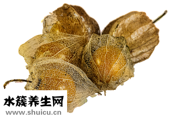 晚上吃蔬菜會胖嗎