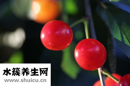 產婦可以吃香蕉嗎