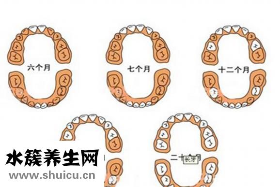 嬰兒什么時候長牙
