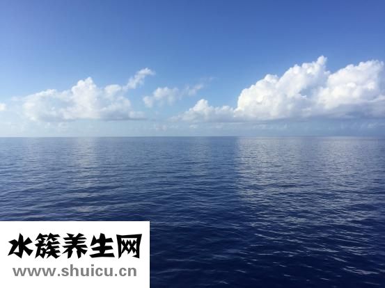 心肌損傷是什么意思