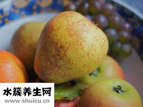 晚上吃蔬菜會胖嗎