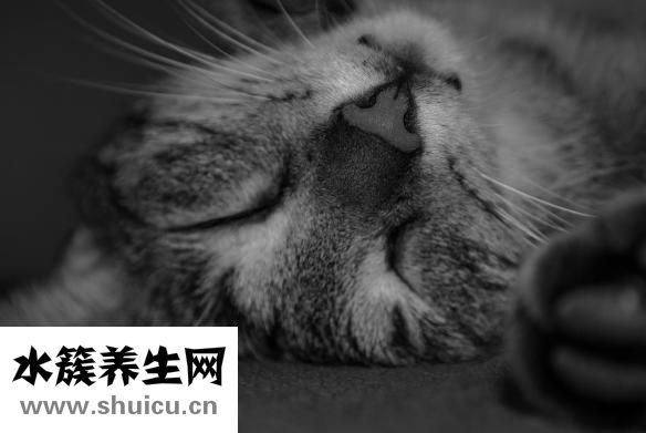 心肌損傷是什么意思