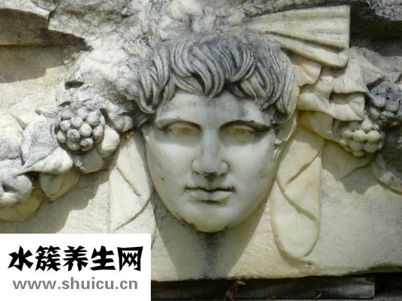 一共有多少顆牙