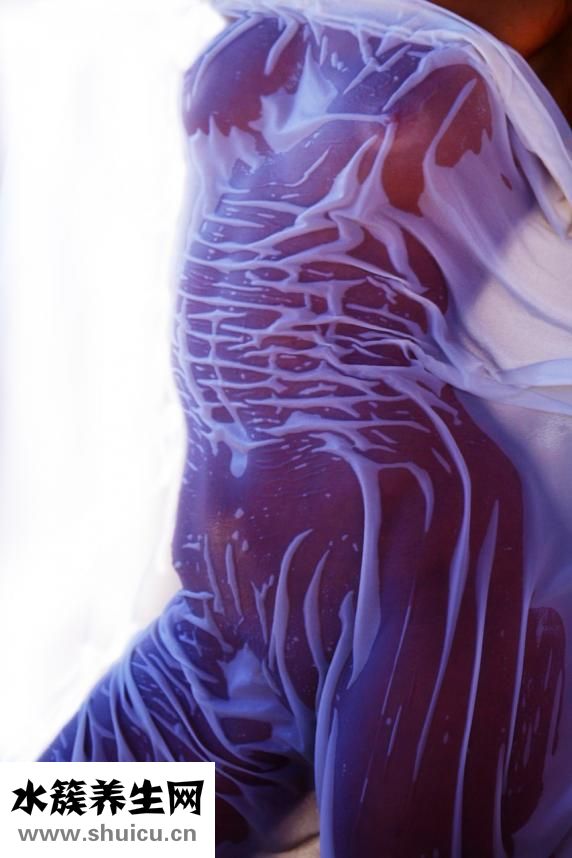 心血管系統(tǒng)包括